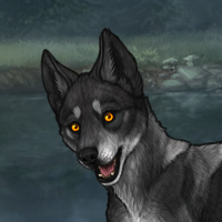 ((Pup))Sell Headshot