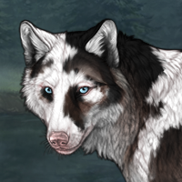 Nymeria Headshot