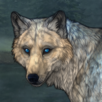 Wolf Headshot