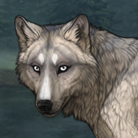 Haze Headshot