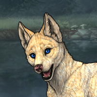 Enclave pup Headshot