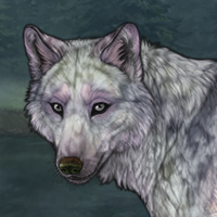 Wolf Headshot