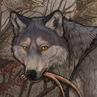 Wolf Headshot