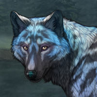 Nightfall Headshot