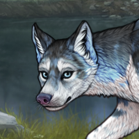 Piebald: Zerdava Headshot