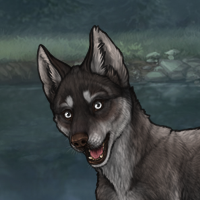 Iris Headshot