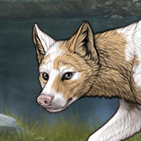 Piebald: Uneven Headshot