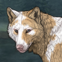 Piebald: Uneven Headshot