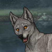 kek neat grey wolfy guy! Headshot