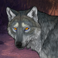 Siorc talún Headshot