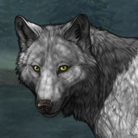 Wolf Headshot