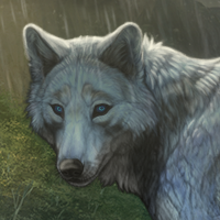 Wolf Headshot