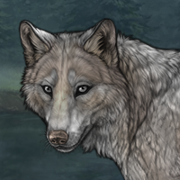Paint Wolf Headshot