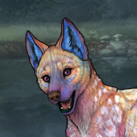 Prismafawn Headshot