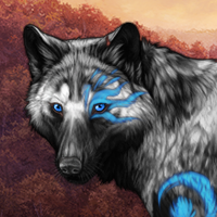 Wolf Headshot