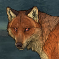 fox wissma Headshot