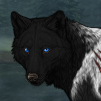 Wolf Headshot