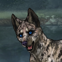 Badger g6 Catshark Headshot