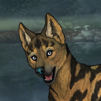 Thyla Headshot