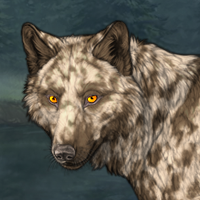 Adalwolfa Headshot