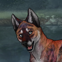 Enclave Pup Headshot