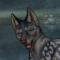 T3:G3 Blueschist Headshot