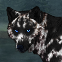 Blackpelt Headshot