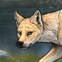 ○F Rufous PoiPan chas Headshot