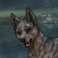 Raise and chase homebred Headshot