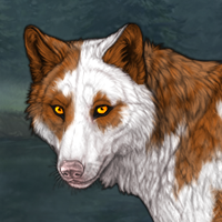 Amber Merle Pie Male Headshot