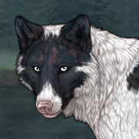 Blueschist Headshot