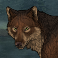Wolf Headshot