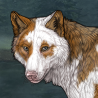 Sell Piebald Headshot