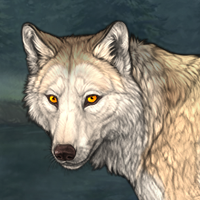 Wolf Headshot