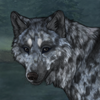 Moonshadow Winterwolf Headshot