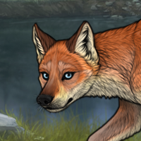 Little Fox! 341 [C] Headshot