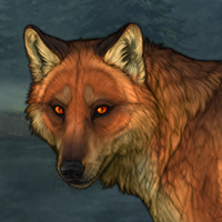 Fox Fox eyes Headshot