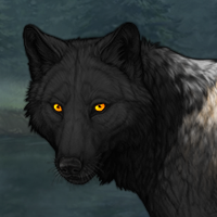 Wolf Headshot