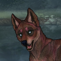 5M T2 Husky Headshot