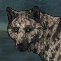 Ray Headshot