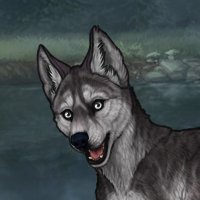 T1 Pumice husky Headshot