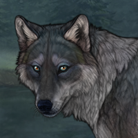 Painting Bark Headshot