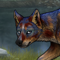 Iris Headshot