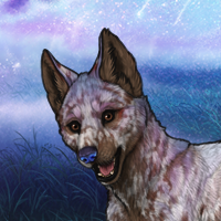 Enclave Pup Headshot