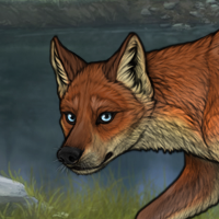 Fox BP BC Headshot