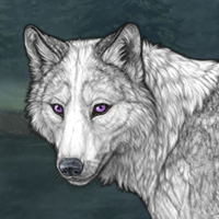 Winterchill Winterwolf Headshot