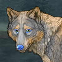 Wolf of Steele Headshot