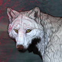 Wolf Headshot