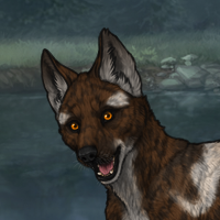 T1 268 merle x2 orca Headshot