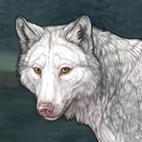 Piebald Frontal Headshot